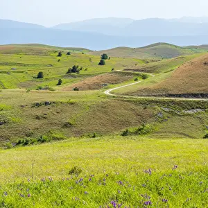 Winding Prints: europe, Italy, the Abruzzi. A landscape in the hills of the National Park of Gran Sasso