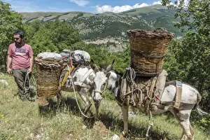 Trail Prints: europe, Italy, the Abruzzi. Walking with donkeys in the National park of the Abruzzi