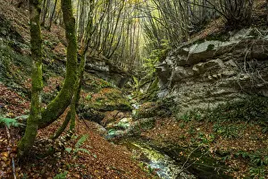 Freshness Prints: Europe, Italy, Abruzzo region. Lush autumn in the Orfento Valley nature reserve