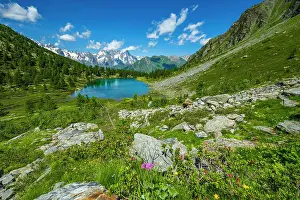 Aosta Prints: Europe, Italy, Aosta Valley. The lake Arpy surrounded by flowering meadows