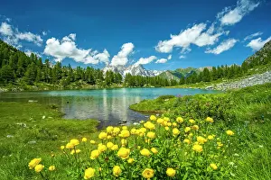 Aosta Prints: Europe, Italy, Aosta Valley. The lake Arpy surrounded by flowering meadows
