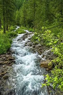 Val Ferret Prints: Europe, Italy, Aosta Valley. A little mountain creek in the Val Ferret near to the Mount Blanc Massiv