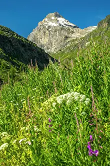 Aosta Prints: Europe, Italy, Aosta Valley. View towards the peak Granta Parey from the hike to the Benevolo Rifugio
