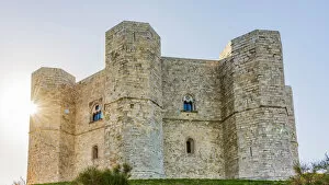 Images Dated 1st December 2020: europe, Italy, Apulia. the Castel del Monte near to Andria