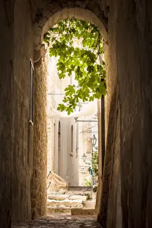 Plants Prints: europe, Italy, Apulia. Ostuni, a passage in the historic center of the town