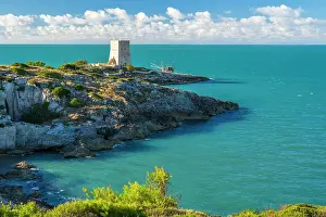 Gargano Prints: Europe, Italy, Apulia. A traditional fishing trabucco near Vieste