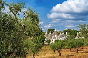 Locorotondo Prints: Europe, Italy, Apulia. A trulli in an olive grove in the Itria Valley near to Locorotondo