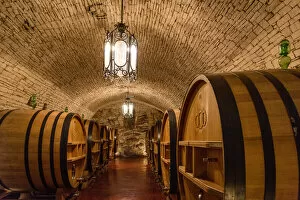 europe, Italy, Apulia. the wine cellar of Torrevento near to Castel del Monte