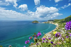 Naples Prints: Europe, Italy, Campania. Ischia Island