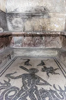 Images Dated 28th May 2019: Europe, Italy, Campania. A mosaic on the floor of the old terme