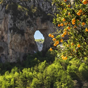 Images Dated 28th May 2019: Europe, Italy, Campania. An orange tree in front of a rock with a hole near to Positano