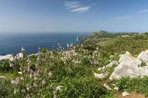 Europe, Italy, Campania. The view from the footpath of the Syrenuse over the Coast