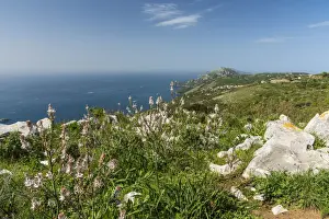Sorrento Prints: Europe, Italy, Campania. The view from the footpath of the Syrenuse over the Coast