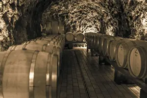 Barrels Prints: Europe, Italy, Campania. The wine cellar of Marisa Cuomo in Furore