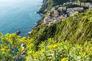 Riomaggiore Prints: Europe, Italy, Cinque Terre. Riomaggiore in Spring Time