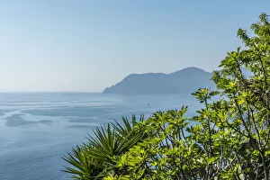 Europe, Italy, Cinque Terre. A view from a hiking path over the sea
