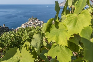 Europe, Italy, Cinque Terre. View of Vernazza