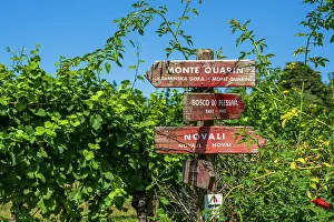 Signpost Prints: Europe, Italy, Friuli. Signpost in the Collio area near Cormons and the Mountain Monte Quarin