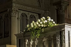 Images Dated 18th November 2016: europe, Italy, Friuli-Venezia-Giulia. Fresh flowers on the altar of the cathedral
