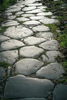 Latium Prints: Europe, Italy, Latium. An old road paved with big stones in Tusculum