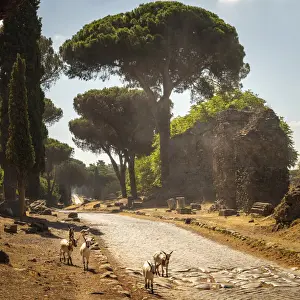 europe, Italy, Latium. Rome, walking on the ancient Via Appia antica