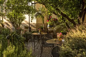 Europe, Italy, Liguria. Bordighera. The garden of the Hotel Villa Elisa