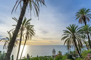 Images Dated 3rd February 2023: Europe, Italy, Liguria. Bordighera, the palm grove at the beginning of the Beodo footpath