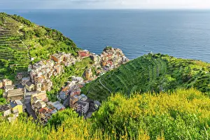 Riomaggiore Prints: europe, Italy, Liguria. Cinque Terre. View of Manarola in springtime with flowering broom