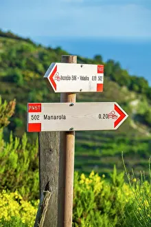 Signpost Prints: europe, Italy, Liguria. Cinque Terre. Signpost of a hiking path near to Manarola