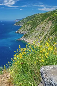 Riomaggiore Prints: europe, Italy, Liguria. Cinque Terre