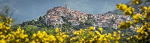 Groom Prints: Europe, Italy, Liguria. Perinaldo seen from the footpath
