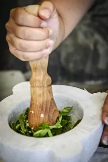 Europe, Italy. Liguria. Preparing genovese pesto during a cooking course