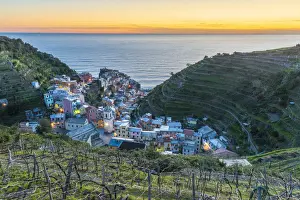 Cinque Prints: Europe, Italy, Liguria. View over the Cinque Terre village Manarola at sunset