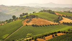 europe, Italy, the Marches. Offida, the view over the hills of the rural area in