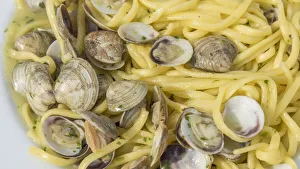 Pasta Prints: Europe, Italy, the Marches. Spaghetti with clams