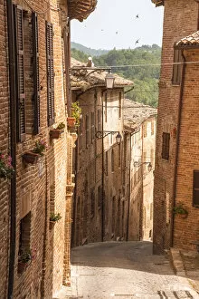 europe, Italy, the Marches. One of the typical narrow streets of the village of Sarnano