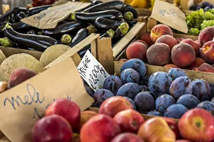 Images Dated 9th November 2016: Europe, Italy, Piedmont. Fruits at the market