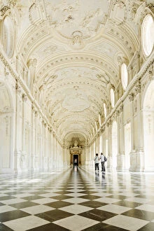World Heritage Gallery: Europe, Italy, Piedmont. The Galleria Grande of the Venaria reale