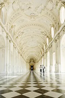 Europe, Italy, Piedmont. The Galleria Grande of the Venaria reale