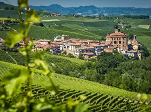 Nebbiolo Prints: Europe, Italy, Piedmont. View of Barolo surrounded by vineyards