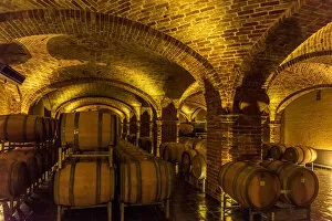 Images Dated 4th May 2017: Europe, Italy, Piedmont. A wine cellar in the Roero