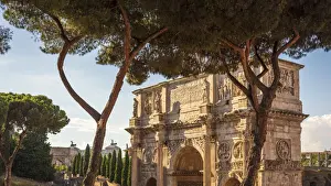 Triumphal Arch Prints: Europe, Italy, Rome. The arch of Constantine and the famous roman pine trees