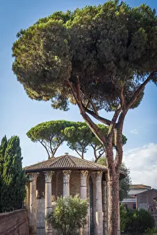 europe, Italy, Rome. The temple of Hercules Victor on the Forum Boarium