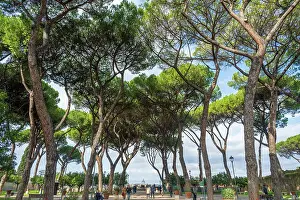 Latium Prints: Europe, Italy, Rome