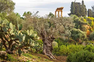 Europe, Italy, Sicily. Agrigento, the re-assembled remains of the temple of the Dioscuri