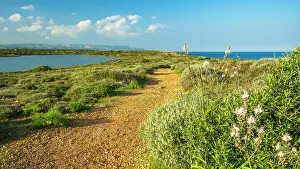 Noto Prints: Europe, Italy, Sicily. The nature reserve of Vendicari and one of the path between sea and lagoon