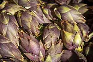 Palermo Prints: europe, Italy, Sicily. Palermo, artichokes