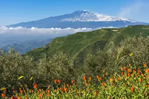 Europe, Italy, Sicily. View towards the Mount Etna from the hiking path from Castelmola