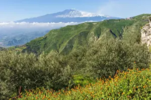 Olive Grove Prints: Europe, Italy, Sicily. View towards the Mount Etna from the hiking path from Castelmola