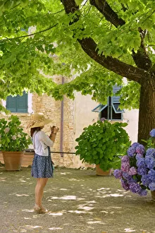 Europe, Italy, Toscana, Tuscany, Montalcino, tourist with hat under tree